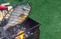 Dorado fish is cooked on the grill, on coals in the garden. Royalty Free Stock Photo