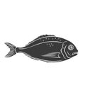 Dorado fish glyph icon