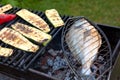 Dorado fish is cooked on the grill, on coals in the garden. Royalty Free Stock Photo