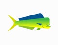 Dorado fish isolated. Mahi Mahi saltwater fish. vector illustration Royalty Free Stock Photo