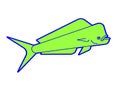 Dorado fish isolated. Mahi Mahi saltwater fish. vector illustration Royalty Free Stock Photo