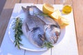 dorado fish on a plate with lemon, rosemary and olive oil bottle Royalty Free Stock Photo