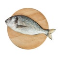 Dorado fish on wooden round board