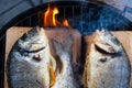 Dorado with lemon cooking on grill with cedar plank