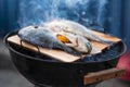 Dorado with lemon cooking on grill with cedar plank