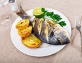 Dorado and potatoes baked in oven Royalty Free Stock Photo