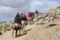 Dorchen, Tibet, China, June, 18, 2018. Men with a horse making parikrama around Kailas in Tibet