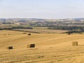 Dorchester farmland dorset england Royalty Free Stock Photo