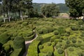 Dordogne, France - Topiary in the gardens of the Jardins de Marqueyssac in the Dordogne region of France Royalty Free Stock Photo