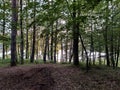 The Dordogne near the Jardin de Bardot, France Royalty Free Stock Photo