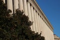 Doric columns and trees in DC