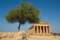 Doric temple in Agrigento Royalty Free Stock Photo