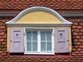 Dormer windows with pink shutters
