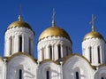 The Dormition cathedral in Vladimire (Russia)