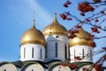 Dormition church in Moscow Kremlin and rowan berries. Royalty Free Stock Photo