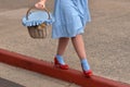 Dorothy Gale and Toto Royalty Free Stock Photo