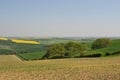 Dorset countryside Royalty Free Stock Photo