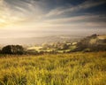 Dorset Countryside Royalty Free Stock Photo