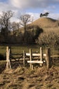 Dorset Landscape