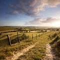 Dorset landscape Royalty Free Stock Photo