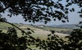 Dorset - a view through the leaves.