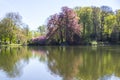 Dortmund Citys Romberg Park lake in North Rhine Westphalia sunny spring time Royalty Free Stock Photo