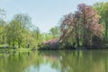 Dortmund Citys Romberg Park lake in North Rhine Westphalia sunny spring time Royalty Free Stock Photo