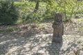 Dortmund, Ruhr Area, North Rhine Westphalia ,Germany - April 16 2018: Wooden sculputre at Romberg Park in BrÃÂ¼nninghausen Royalty Free Stock Photo