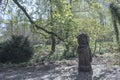 Dortmund, Ruhr Area, North Rhine Westphalia ,Germany - April 16 2018: Wooden sculputre at Romberg Park in BrÃÂ¼nninghausen Royalty Free Stock Photo