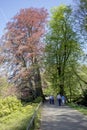 Dortmund, Ruhr Area, North Rhine Westphalia ,Germany - April 16 2018: Romberg Park is part of the European Garden Network Royalty Free Stock Photo