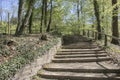 Stairs in famous Romberg Park in BrÃÂ¼nninghausen Dortmund Royalty Free Stock Photo