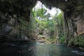 Cenotes, Yucatan, Mexico, Quintana Roo, cave diving in Mexico