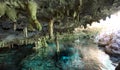 Cenotes, Yucatan, Mexico, Quintana Roo, cave diving in Mexico Royalty Free Stock Photo