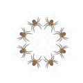 Dot line spider web and spiders