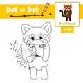 Dot to dot educational game and Coloring book Standing Red Panda animal cartoon character vector illustration Royalty Free Stock Photo