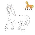 Dot to dot game with answer for kids. Horse. Connect the dots by numbers and finish the picture. Education Game and Coloring Page