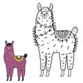 Dot to dot game with funny llama Royalty Free Stock Photo