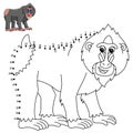 Dot to Dot Mandrill Animal Isolated Coloring Page
