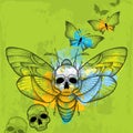 Dotted Death's head hawk moth or Acherontia atropos in black with skulls and butterflies on the textured green background Royalty Free Stock Photo