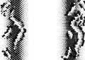 Halftone dotted background for business design