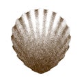 Dotted Scallop Shell