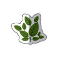 Dotted sticker green leaves with ramifications Royalty Free Stock Photo