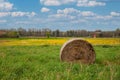 Straw bales on the field under blue sky with white clouds Royalty Free Stock Photo