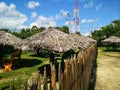 Tala palm hut