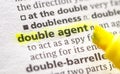 Double agent Royalty Free Stock Photo