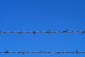 Double barbed wire fence against clear blue sky with copy space Royalty Free Stock Photo