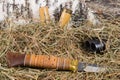 Double-barrel weapon with cartridges and hunting knife, on the background of birch and dry grass Royalty Free Stock Photo