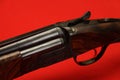 Double-barrelled gun Royalty Free Stock Photo