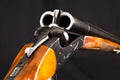 Double-barrelled hunting gun Royalty Free Stock Photo