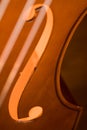 Double Bass Royalty Free Stock Photo